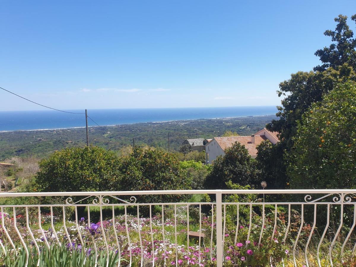 Appartement A Caserella Entierement Renove Avec Terrasse Et Vue Panoramique Sur Mer Valle-di-Campoloro المظهر الخارجي الصورة