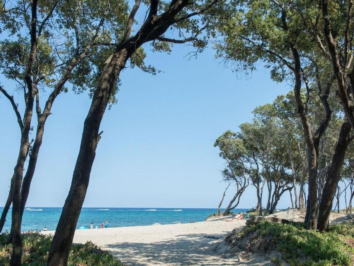 Appartement A Caserella Entierement Renove Avec Terrasse Et Vue Panoramique Sur Mer Valle-di-Campoloro المظهر الخارجي الصورة